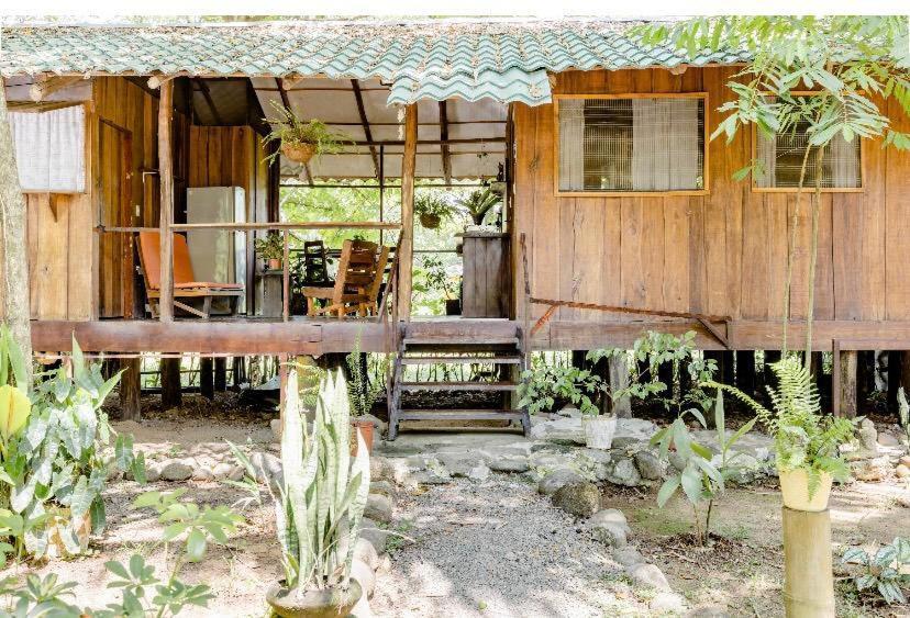 Luminosa Uvita Hostel Exterior photo