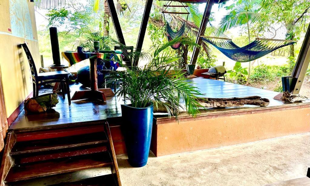 Luminosa Uvita Hostel Exterior photo